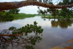 Омская область Омская область