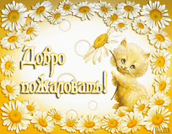 Добро пожаловать на сайт!