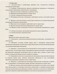 Должностная инструкция