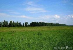 Фонд ИЖС – многодетным семьям